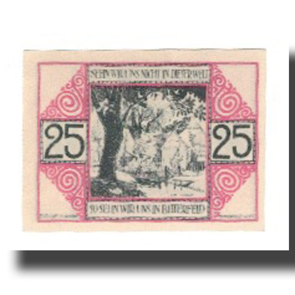 Billete, Alemania, Bitterfeld Kreis, 25 Pfennig, paysage 1, 1920, 1920-07-06