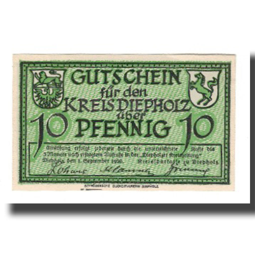 Billet, Allemagne, Diepholz Kreis, 10 Pfennig, Oies, 1920, 1920-09-01, SUP