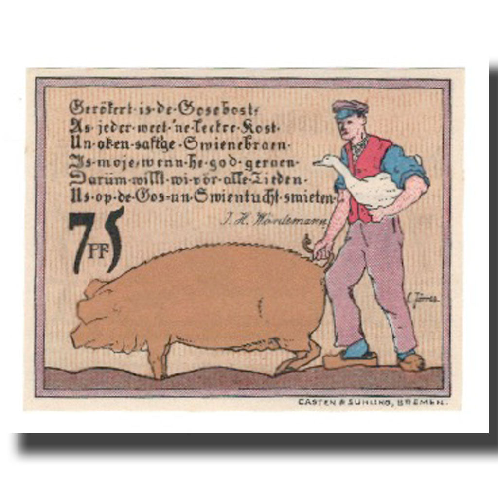 Geldschein, Deutschland, Diepholz Kreis, 75 Pfennig, personnage, 1921