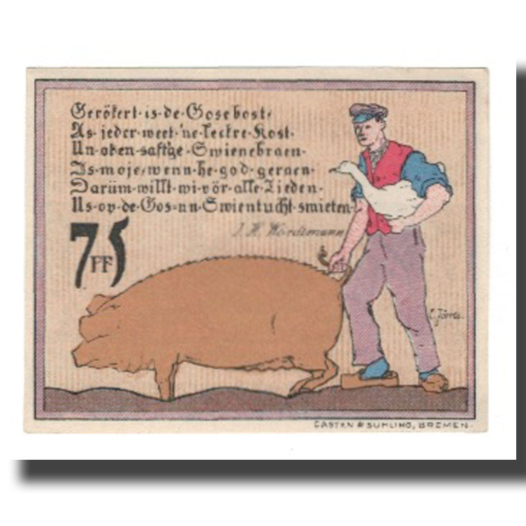 Geldschein, Deutschland, Diepholz Kreis, 75 Pfennig, personnage 1, 1921