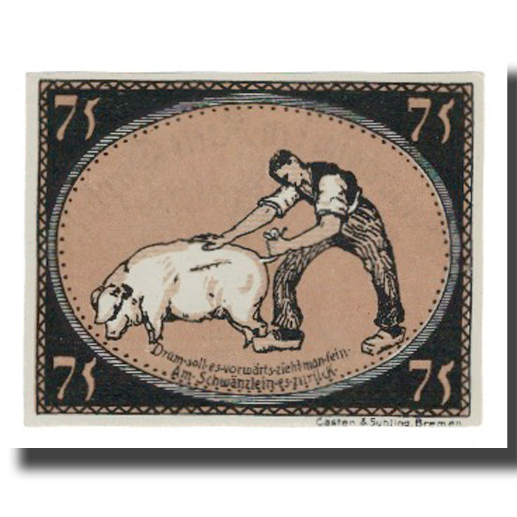 Geldschein, Deutschland, Diepholz Kreis, 75 Pfennig, personnage 2, 1921