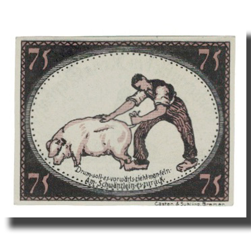 Geldschein, Deutschland, Diepholz Kreis, 75 Pfennig, personnage 3, 1921