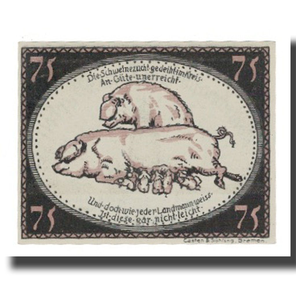 Banknote, Germany, Diepholz Kreis, 75 Pfennig, cochon, 1921, 1921-09-15