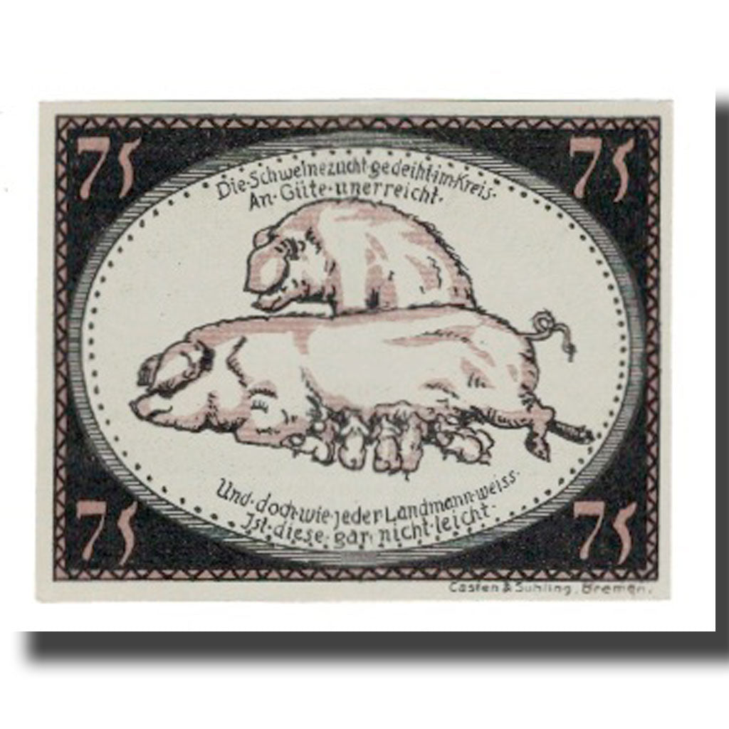 Geldschein, Deutschland, Diepholz Kreis, 75 Pfennig, Cochon 1, 1921, 1921-09-15