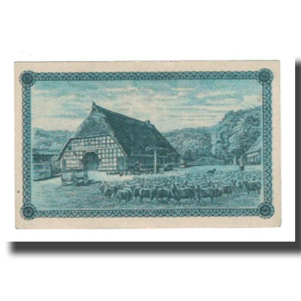 Nota, Alemanha, Fallingbostel und Walsrode Sparkassen und Vereine, 50 Pfennig