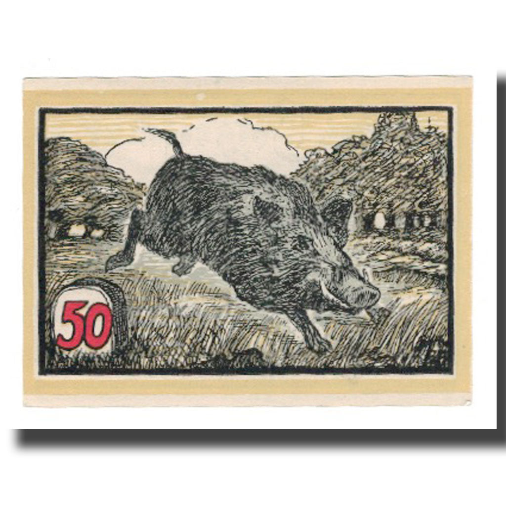Banknote, Germany, Hofgeismar Kreissparkasse, 50 Pfennig, sanglier, Undated