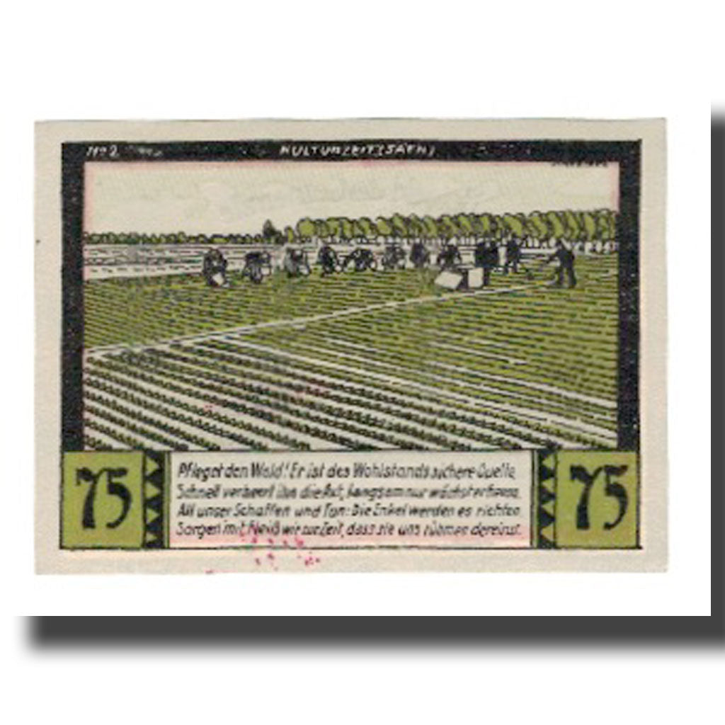 Geldschein, Deutschland, Halstenbek, 75 Pfennig, personnage, undated (1921), VZ