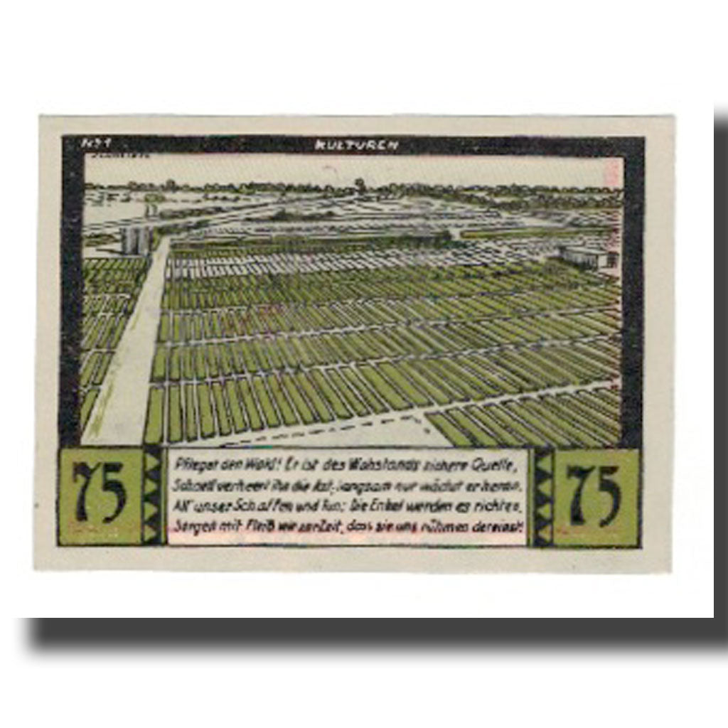 Geldschein, Deutschland, Halstenbek, 75 Pfennig, paysage, undated (1921), VZ