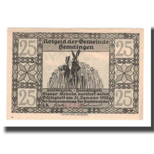 Banknote, Germany, Hemdingen Gemeinde, 25 Pfennig, Ecureuil, 1922, 1922-01-31