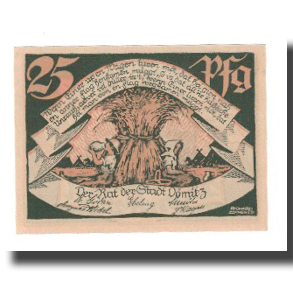 Biljet, Duitsland, Domitz Stadt, 25 Pfennig, maison 1, 1922, 1922-05-31, SUP