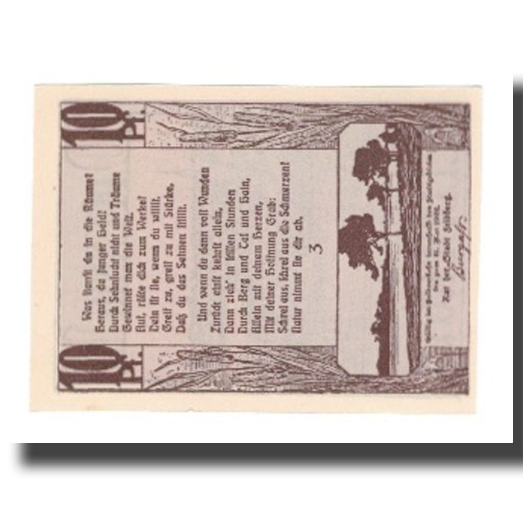 Banknote, Germany, Feldberg Stadt, 10 Pfennig, Texte, 1922, 1922-05-31