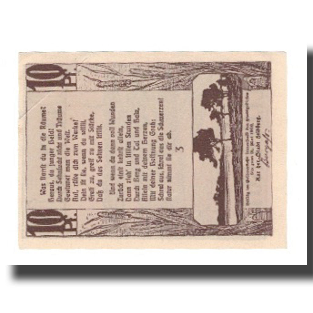 Biljet, Duitsland, Feldberg Stadt, 10 Pfennig, texte 1, 1922, 1922-05-31, SUP
