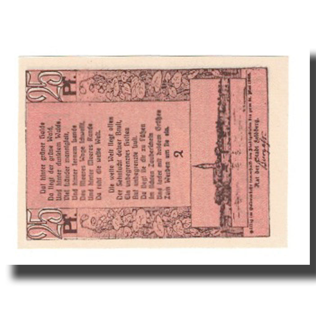 Biljet, Duitsland, Feldberg Stadt, 25 Pfennig, Texte, 1922, 1922-05-31, SUP