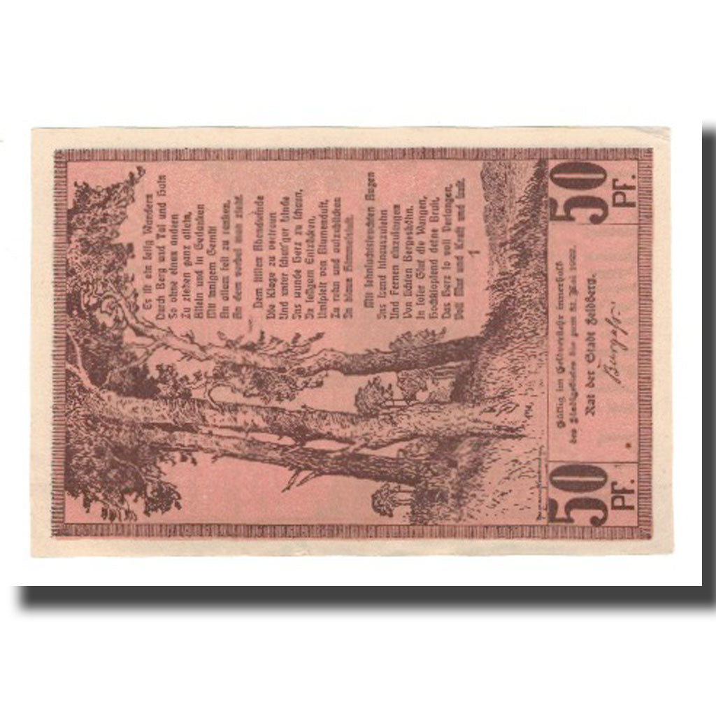 Banknote, Germany, Feldberg Stadt, 50 Pfennig, texte 1, 1922, 1922-05-31