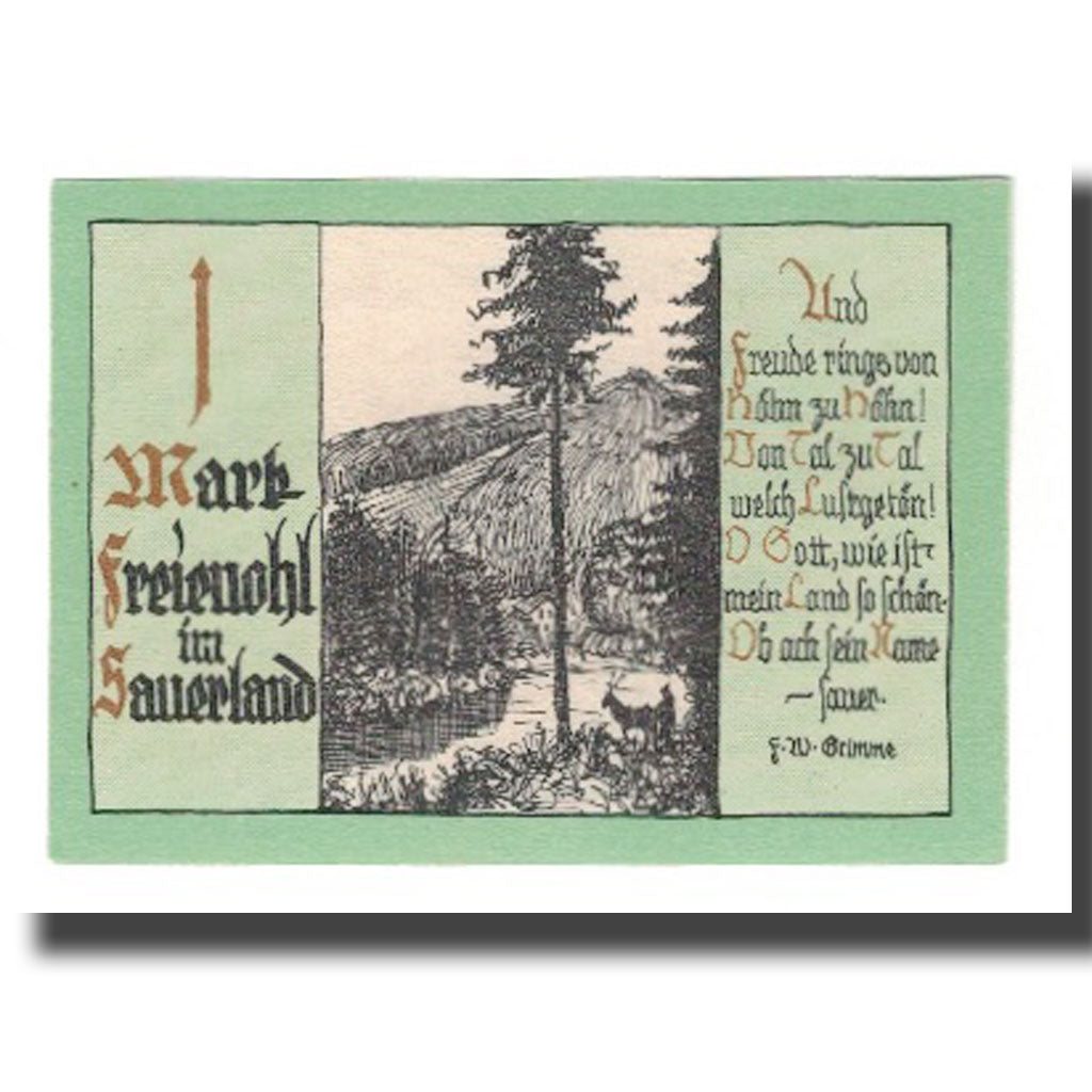 Banknote, Germany, Freienohl im Sauerland Freiheit, 1 Mark, village, AU(55-58)