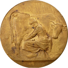 Syndicat d'élevage du canton de Bavay, Médaille