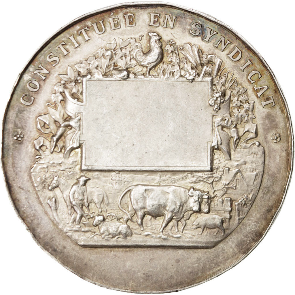 France, Medal, French Third Republic, Business & industry, SUP, Argent
