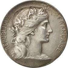FRANCE, Arts & Culture, French Third Republic, Medal, AU(55-58), Dupuis.D,...