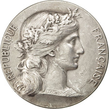 Frankreich, Medal, French Third Republic, Politics, Society, War, Dupuis.D, SS+