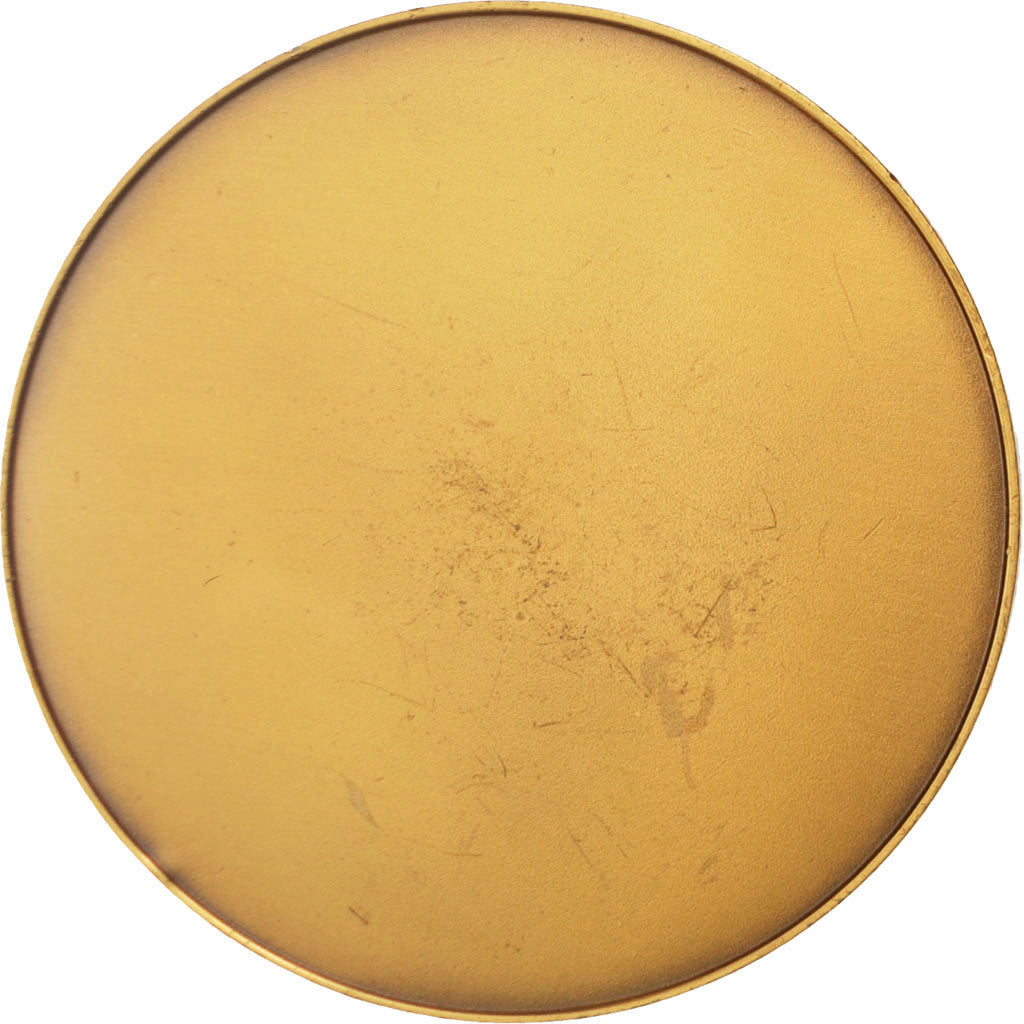 Frankrijk, Medal, French Fifth Republic, Politics, Society, War, ZF, Bronze