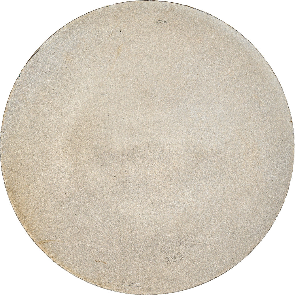 Bermuda, Médaille, Hamilton, SPL, Argent