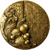 France, Medal, French Fifth Republic, Sciences & Technologies, MS(60-62), Bronze