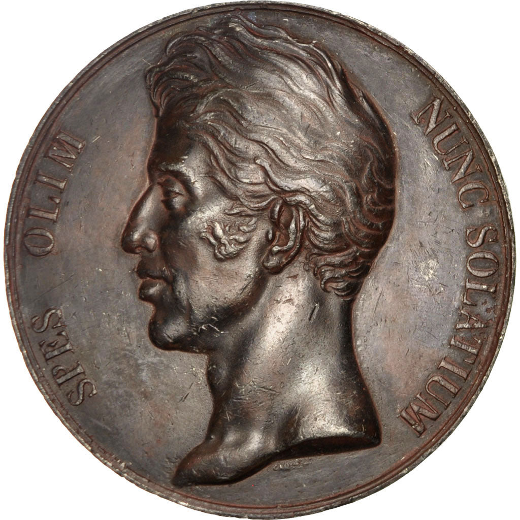 Francia, Medal, Charles X, Politics, Society, War, Caqué, MBC+, Hojalata