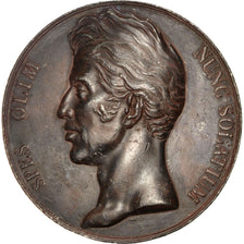 Francia, Medal, Charles X, Politics, Society, War, Caqué, MBC+, Hojalata