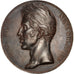 Francia, Medal, Charles X, Politics, Society, War, Caqué, MBC+, Hojalata