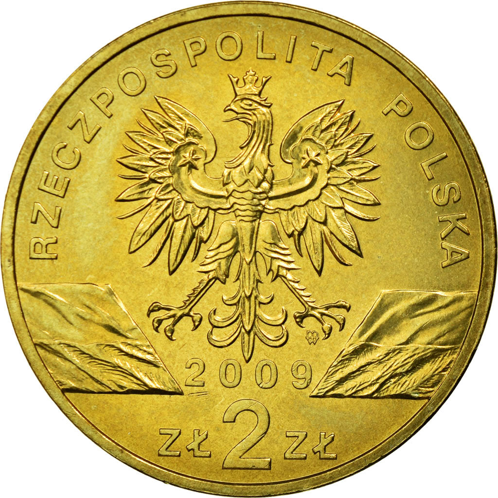 Münze, Polen, 2 Zlote, 2009, Warsaw, SS, Messing, KM:678