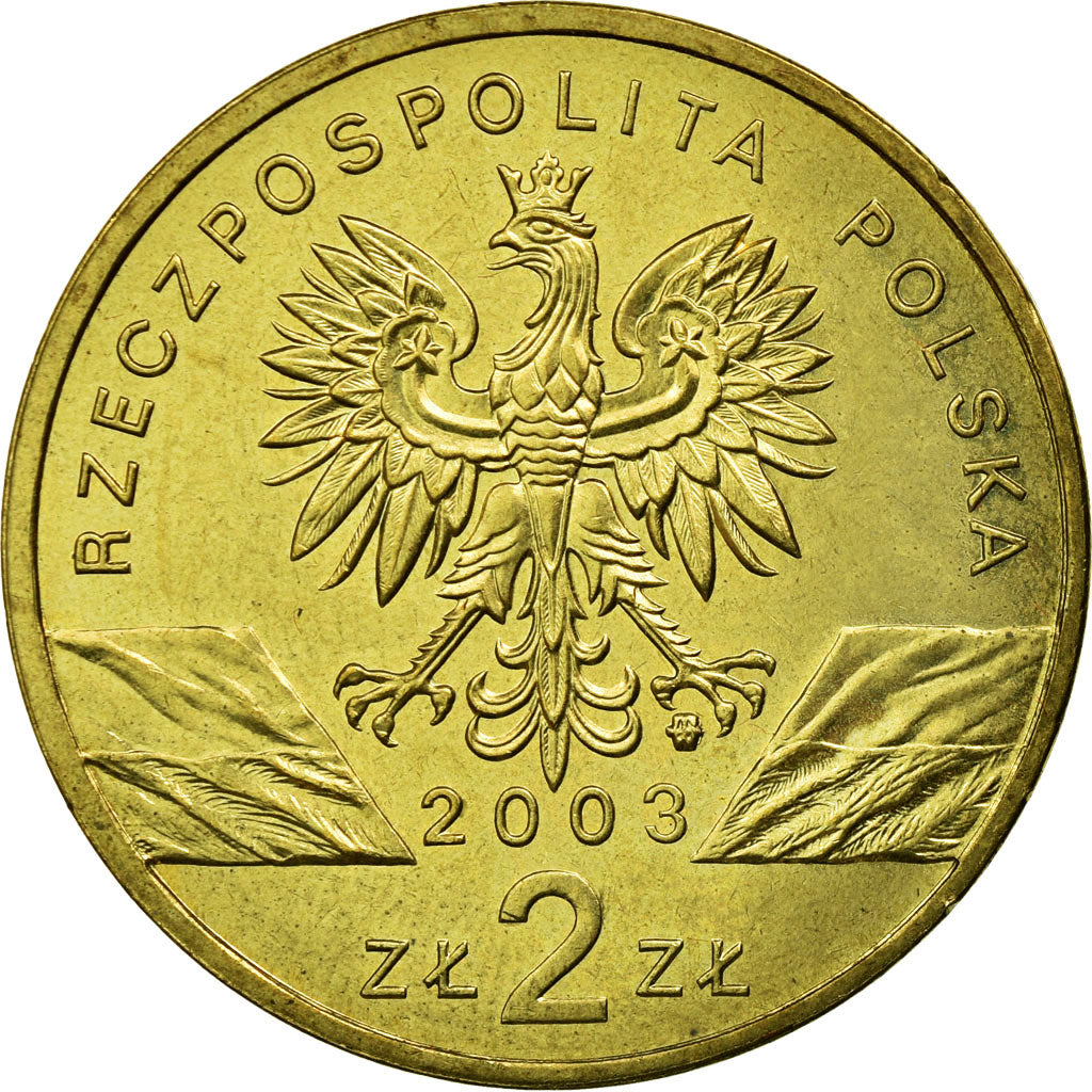 Coin, Poland, 2 Zlote, 2003, Warsaw, EF(40-45), Brass, KM:445