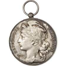 FRANCE, Politics, Society, War, French Third Republic, Medal, AU(50-53),...