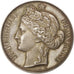 FRANCE, Politics, Society, War, French Third Republic, Medal, AU(55-58),...
