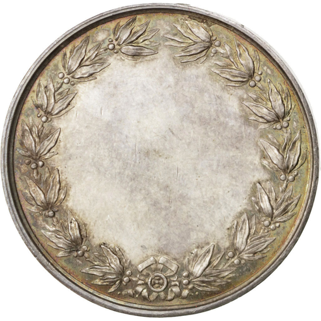 FRANCE, Politics, Society, War, French Third Republic, Medal, AU(55-58),...