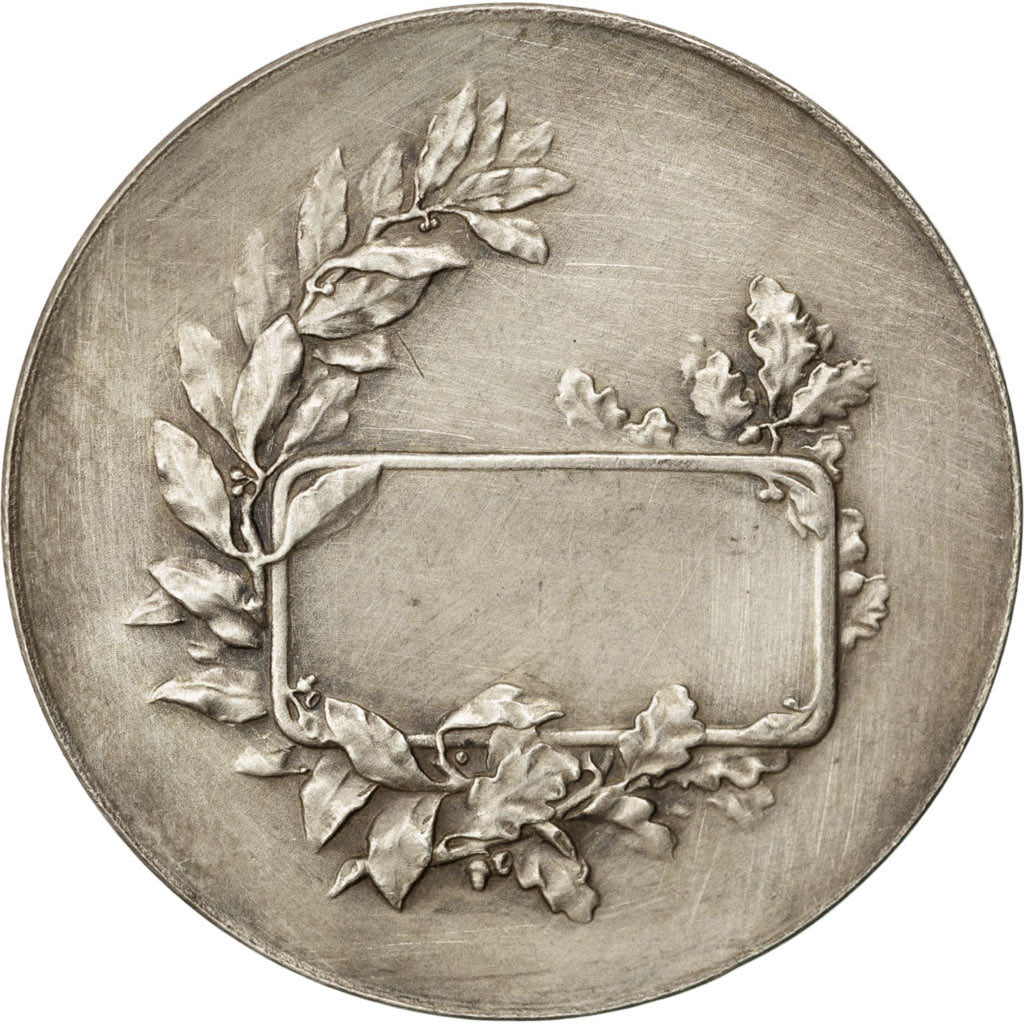 France, Medal, French Third Republic, Politics, Society, War, SUP, Bronze