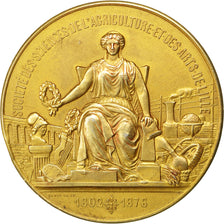 France, Medal, French Third Republic, Arts & Culture, Grun, SUP, Vermeil