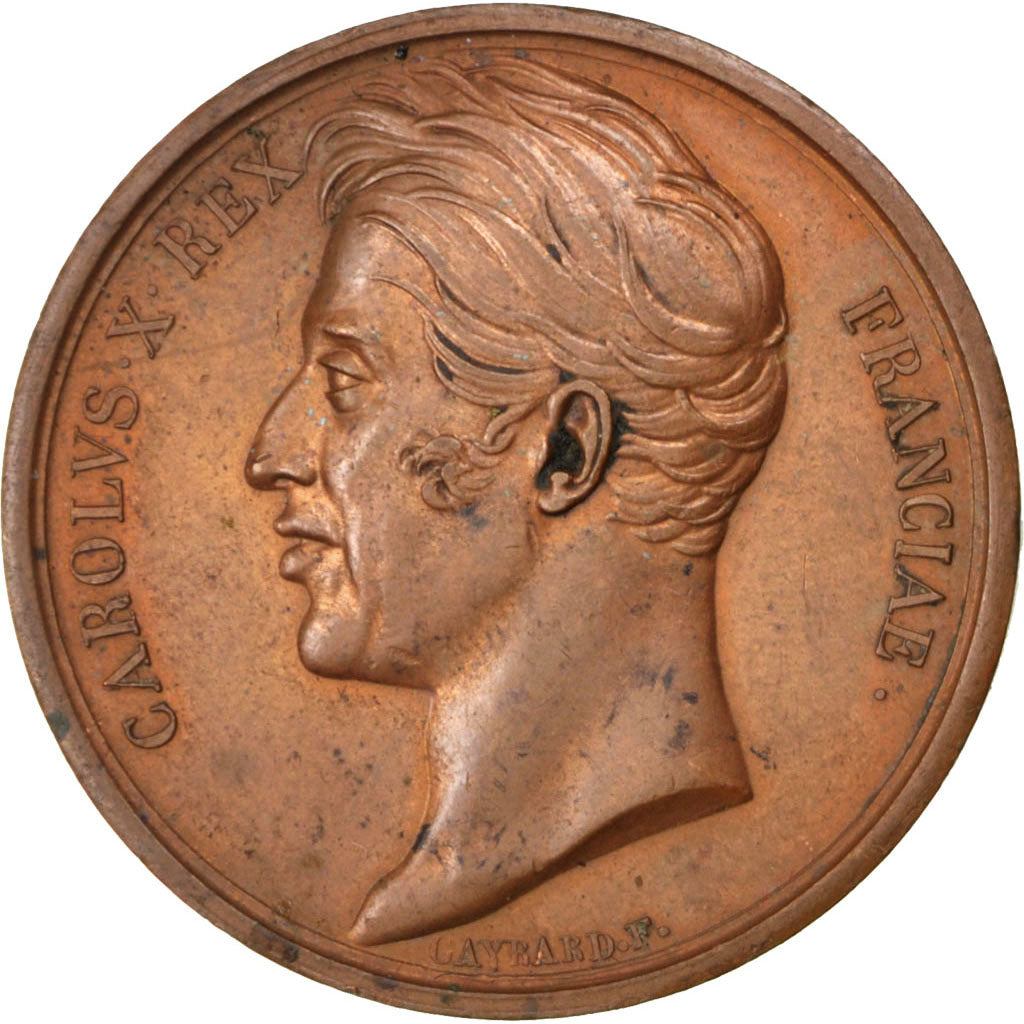 FRANCE, Politics, Society, War, Charles X, Medal, AU(50-53), Gayrard, Copper,...