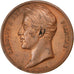FRANCE, Politics, Society, War, Charles X, Medal, AU(50-53), Gayrard, Copper,...