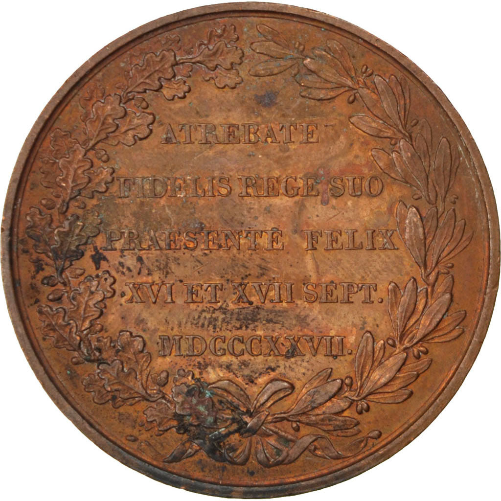 FRANCE, Politics, Society, War, Charles X, Medal, AU(50-53), Gayrard, Copper,...