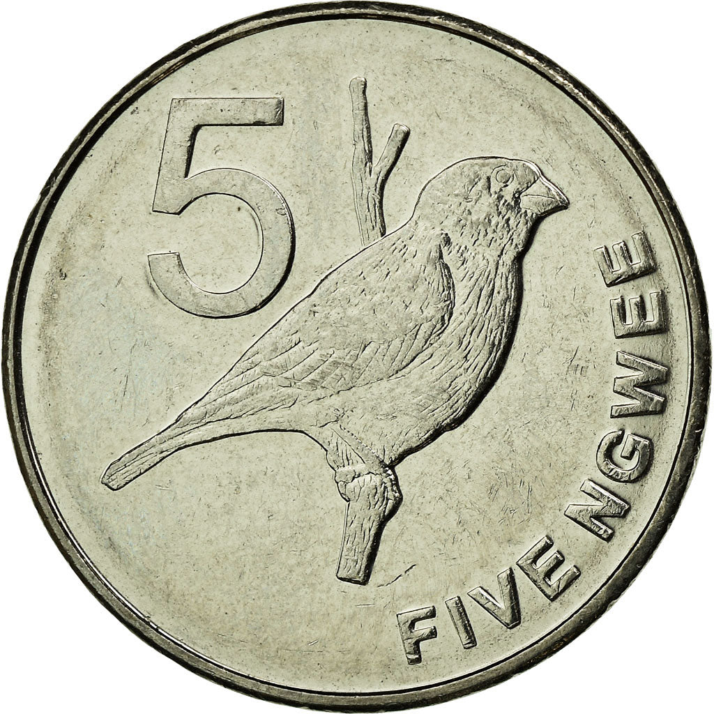 Coin, Zambia, 5 Ngwee, 2012, British Royal Mint, EF(40-45), (No Composition)