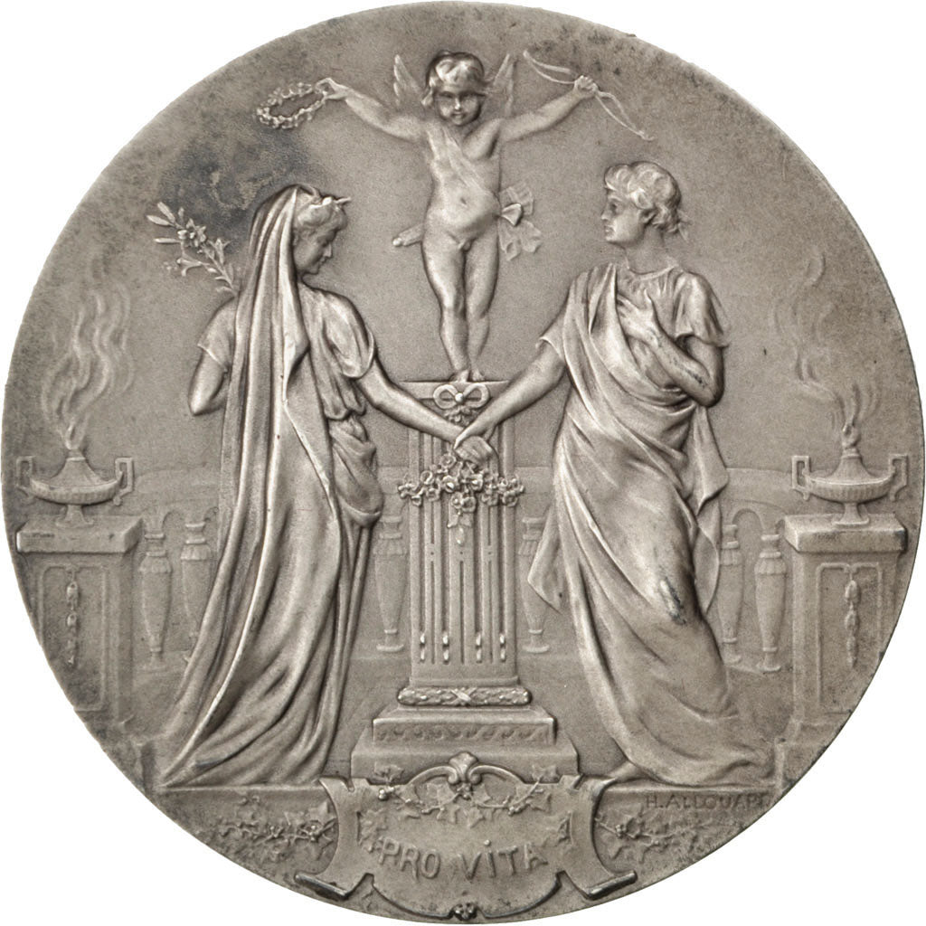 FRANCE, Politics, Society, War, French Third Republic, Medal, AU(55-58),...
