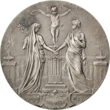 FRANCE, Politics, Society, War, French Third Republic, Medal, AU(55-58),...