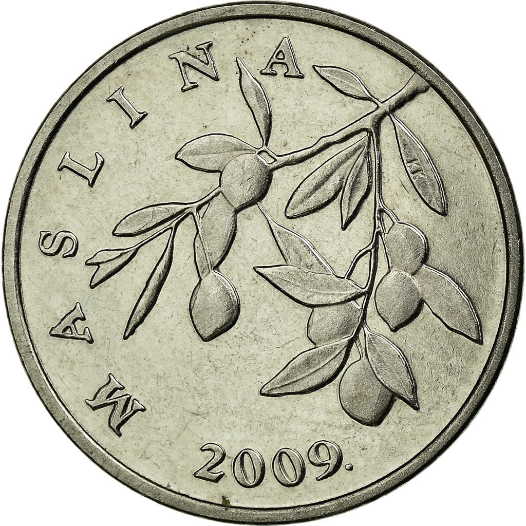 Monnaie, Croatie, 20 Lipa, 2009, TTB+, Nickel plated steel, KM:7