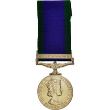 Campaign Service, Royal Air Force, Malay Peninsula, Médaille