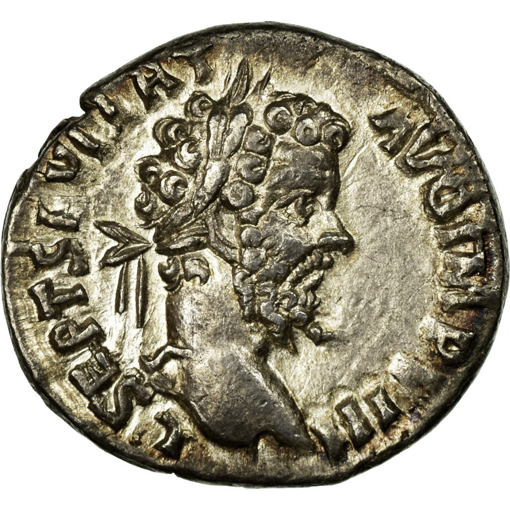 Coin, Septimius Severus, Denarius, 193-211, Roma, AU(50-53), Silver