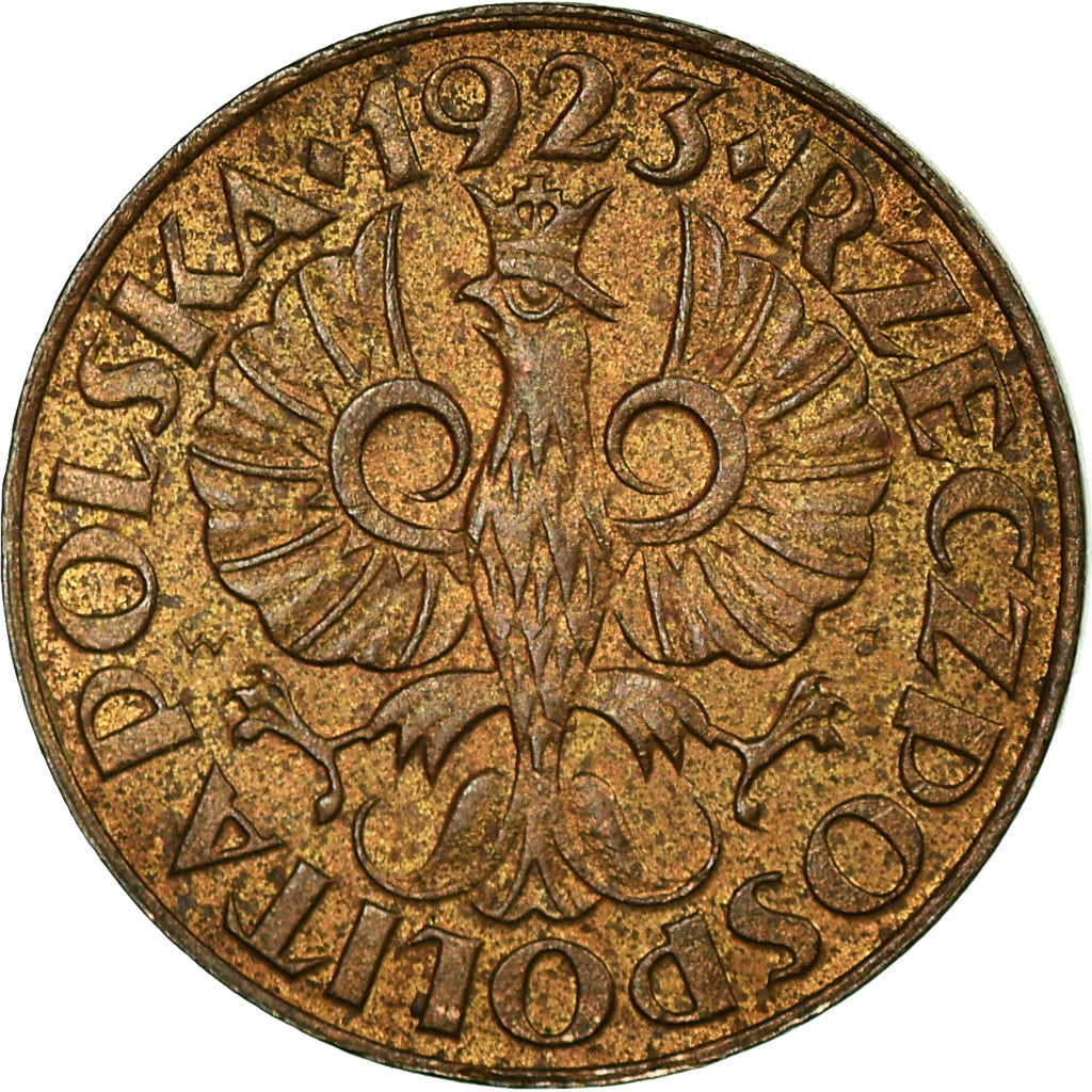 Monnaie, Pologne, Grosz, 1923, Warsaw, TB+, Laiton, KM:8