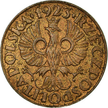 Monnaie, Pologne, Grosz, 1923, Warsaw, TB+, Laiton, KM:8
