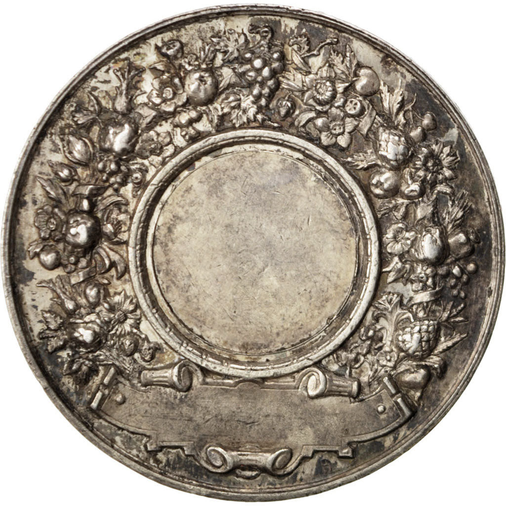 France, Medal, French Third Republic, AU(55-58), Silver