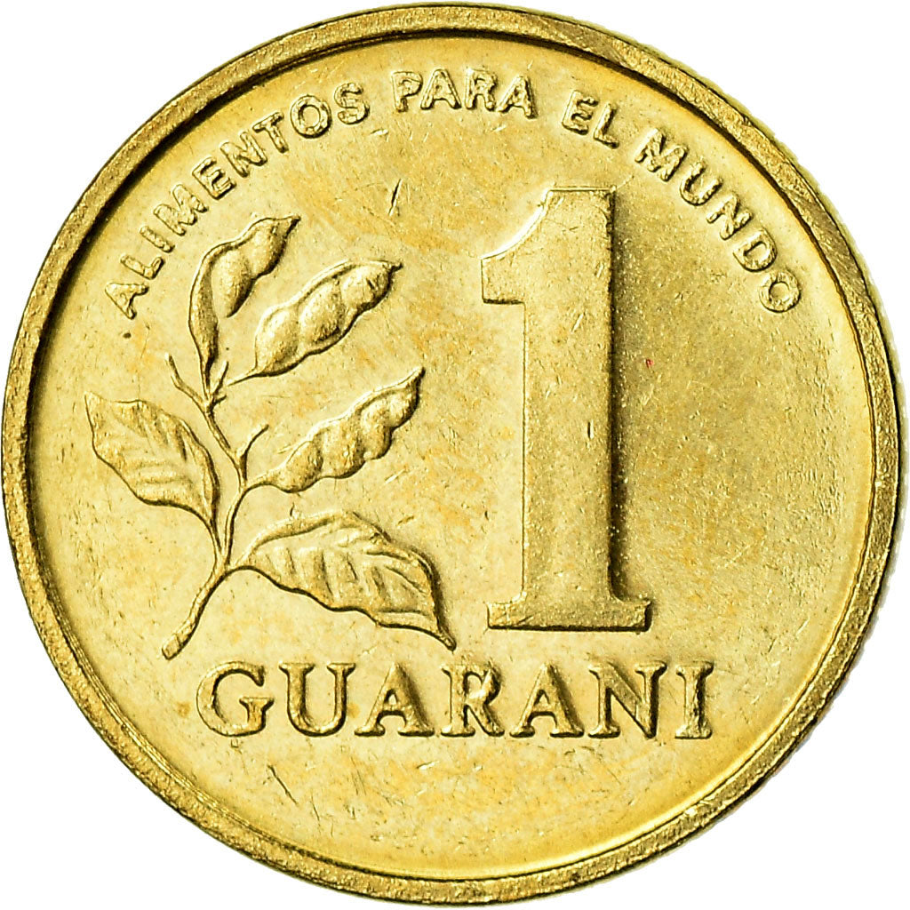 Coin, Paraguay, Guarani, 1993, EF(40-45), Brass plated steel, KM:192