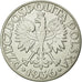 Monnaie, Pologne, 5 Zlotych, 1936, Warsaw, SUP, Argent, KM:31